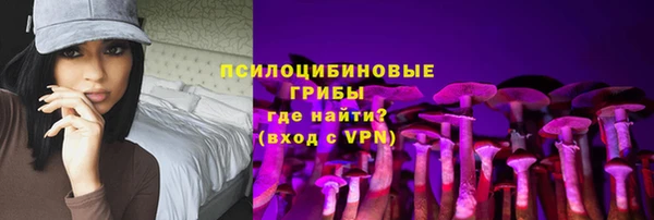 СК Верхний Тагил