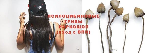 СК Верхний Тагил