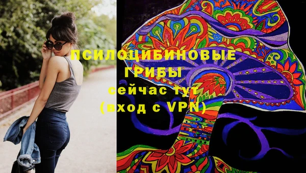 СК Верхний Тагил